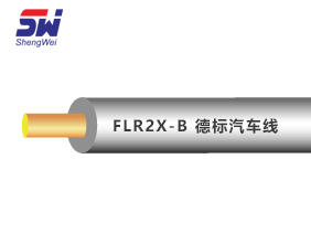 【 FLR2X-B 】 德標汽車線